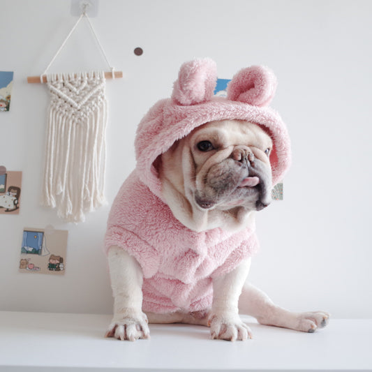adorable dog outfits
